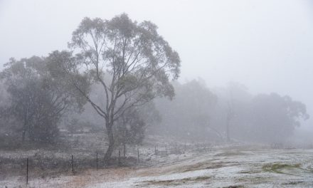 Snow, heatwave coincide in Australia