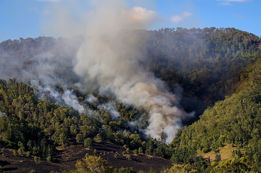 Bushfire in Australian national park an environmental tragedy: Expert