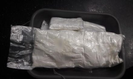 Police arrest 12 suspects, prevent 2.4 tonnes of cocaine from reaching Australia