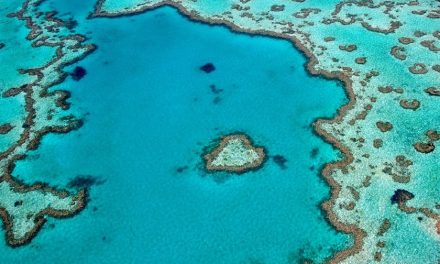 Action needed to protect Australia’s underwater cultural heritage
