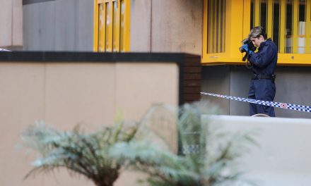 Toddler dies in Sydney stabbing incident