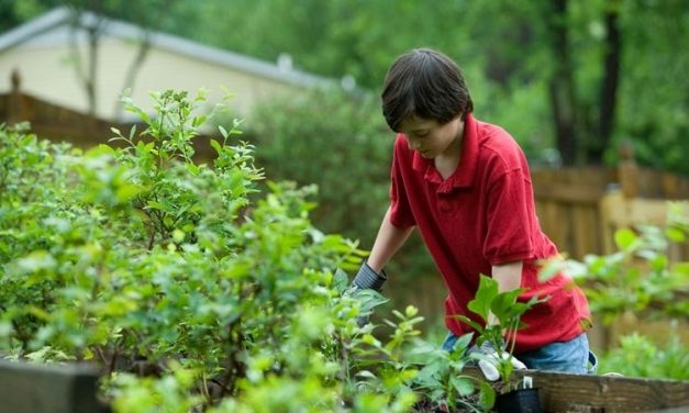 Gardening, cycling may help ‘fight off’ genetic risk of Type 2 diabetes