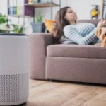5 ways to improve indoor air quality for a healthier living